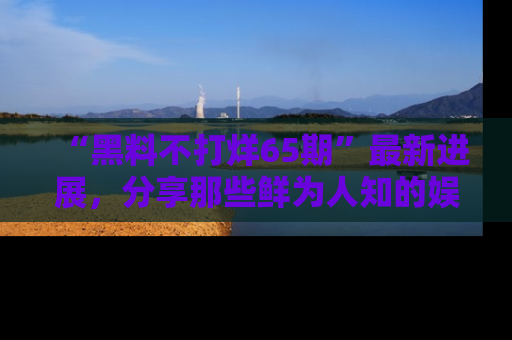 “黑料不打烊65期”最新进展，分享那些鲜为人知的娱乐八卦