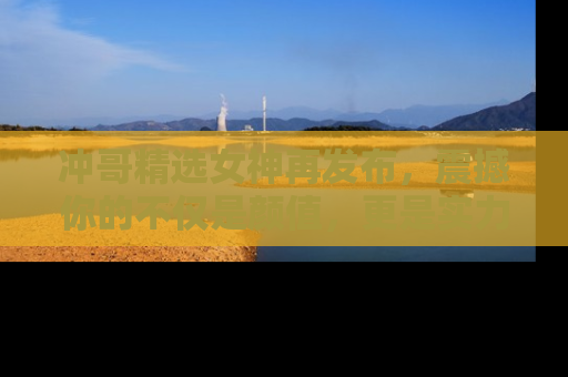 冲哥精选女神再发布，震撼你的不仅是颜值，更是实力！
