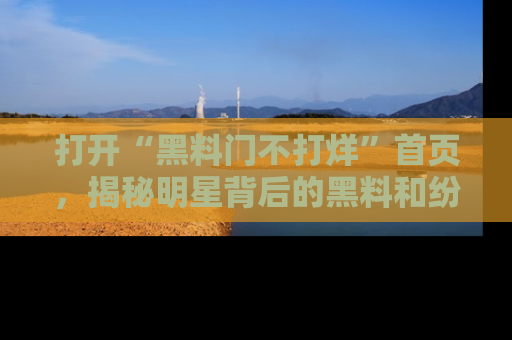 打开“黑料门不打烊”首页，揭秘明星背后的黑料和纷争真相！