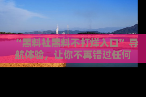 “黑料社黑料不打烊入口”导航体验，让你不再错过任何精彩黑料