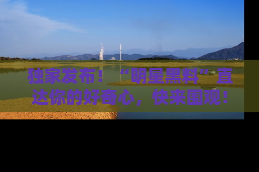独家发布！“明星黑料”直达你的好奇心，快来围观！