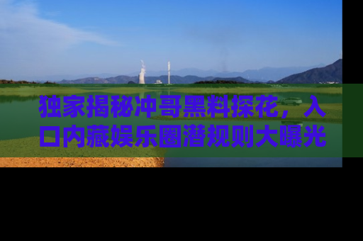 独家揭秘冲哥黑料探花，入口内藏娱乐圈潜规则大曝光