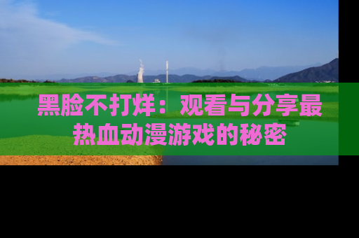 黑脸不打烊：观看与分享最热血动漫游戏的秘密
