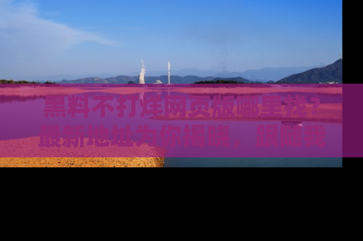 黑料不打烊网页版哪里找？最新地址为你揭晓，跟随我们一起了解更多八卦吧！