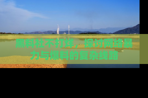黑料社不打烊，探讨网络暴力与爆料的复杂线路