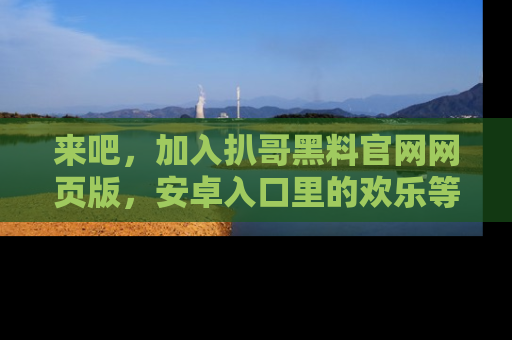 来吧，加入扒哥黑料官网网页版，安卓入口里的欢乐等着你！