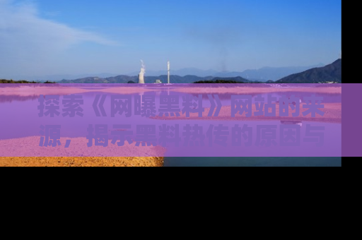探索《网曝黑料》网站的来源，揭示黑料热传的原因与影响