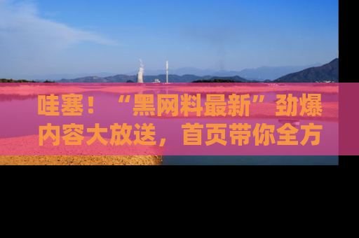 哇塞!“黑网料最新”劲爆内容大放送,首页带你全方位了解哦,小可爱们