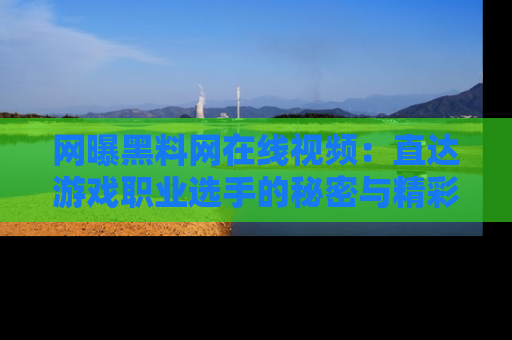网曝黑料网在线视频:直达游戏职业选手的秘密与精彩动漫片段!