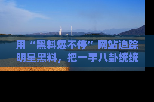 用“黑料爆不停”网站追踪明星黑料，把一手八卦统统收进你的后宫中！