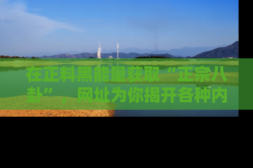 在正料黑能量获取“正宗八卦”,网址为你揭开各种内幕故事!