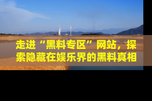 走进“黑料专区”网站,探索隐藏在娱乐界的黑料真相