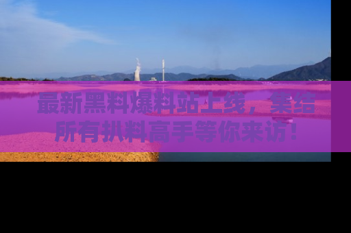 最新黑料爆料站上线,集结所有扒料高手等你来访!